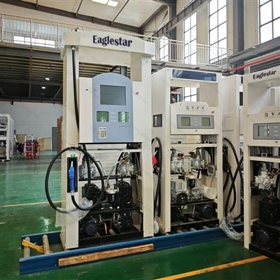 Diesel Gas Fuel Pump best